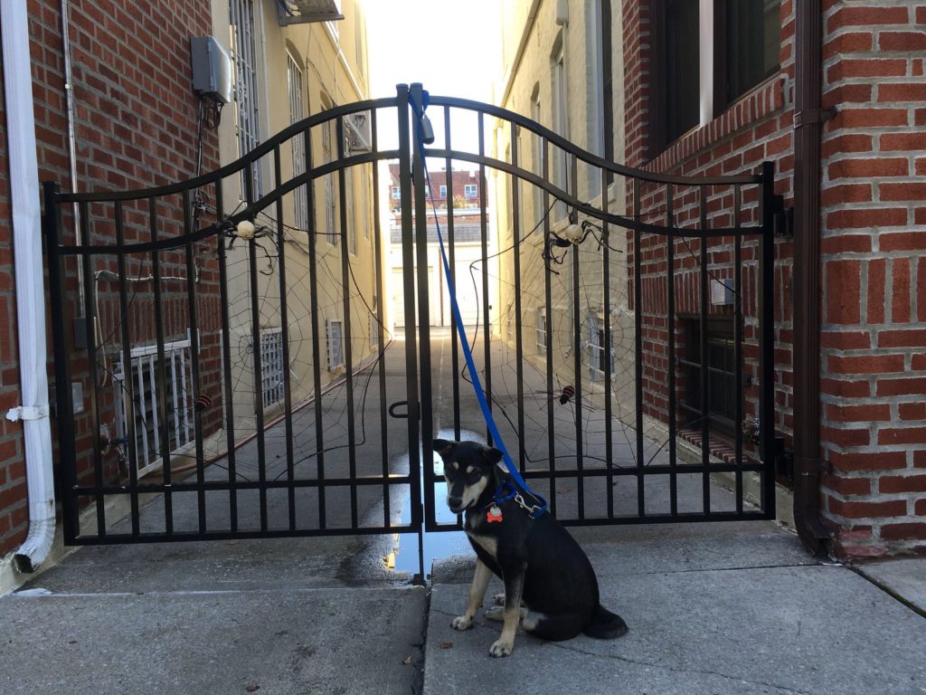 sliding gates repair and installation nyc